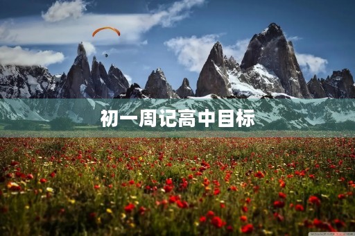 初一周记高中目标 初一周记高中目标
