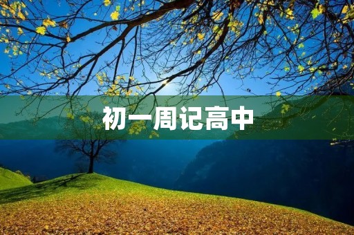 初一周记高中 初一周记高中