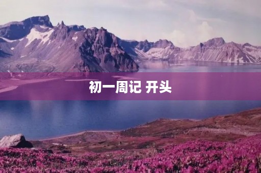 初一周记 开头 初一周记 开头