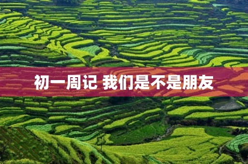 初一周记 我们是不是朋友