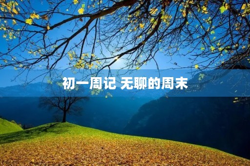 初一周记 无聊的周末 初一周记 无聊的周末