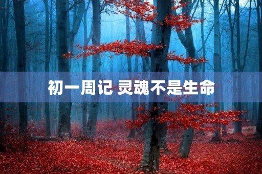 初一周记 灵魂不是生命 初一周记 灵魂不是生命