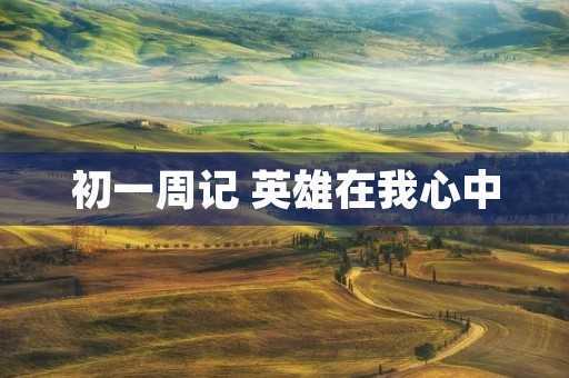 初一周记 英雄在我心中