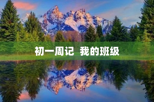 初一周记  我的班级