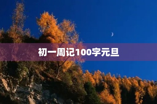 初一周记100字元旦