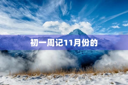初一周记11月份的 初一周记11月份的