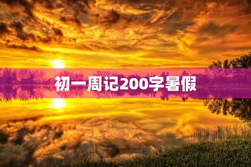 初一周记200字暑假