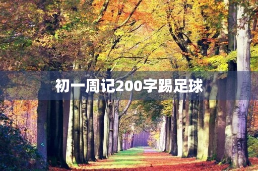 初一周记200字踢足球