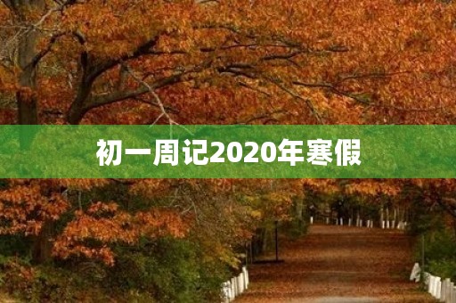 初一周记2020年寒假