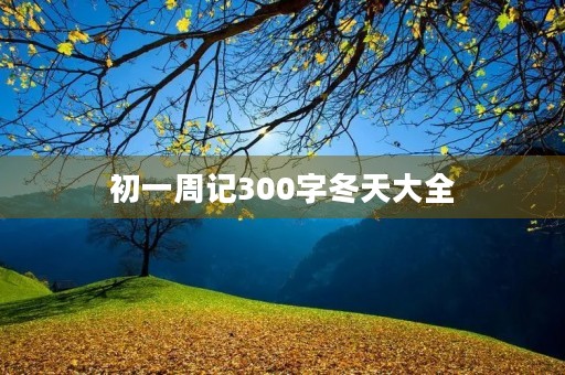 初一周记300字冬天大全