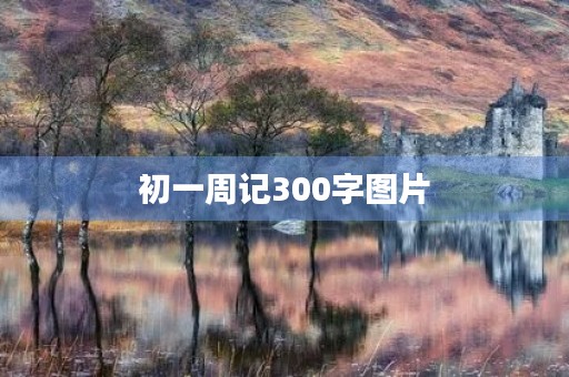 初一周记300字图片 初一周记300字图片