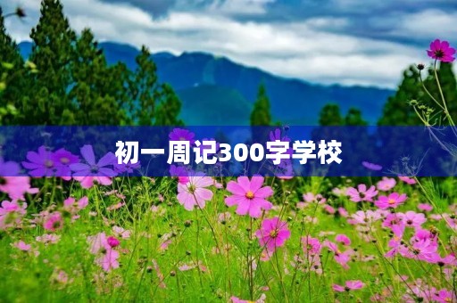 初一周记300字学校