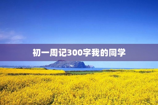 初一周记300字我的同学