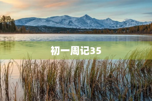 初一周记35