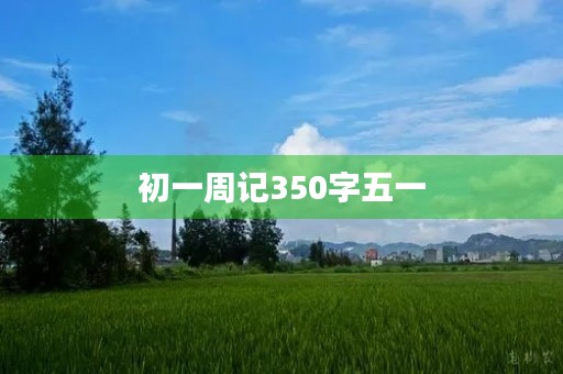 初一周记350字五一