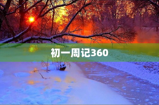 初一周记360