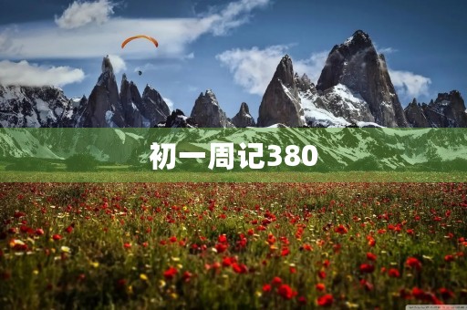 初一周记380