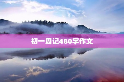 初一周记480字作文