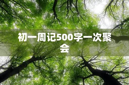 初一周记500字一次聚会