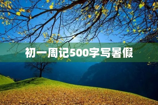 初一周记500字写暑假