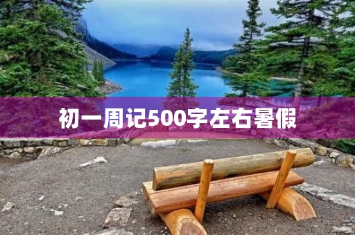 初一周记500字左右暑假 初一周记500字左右暑假