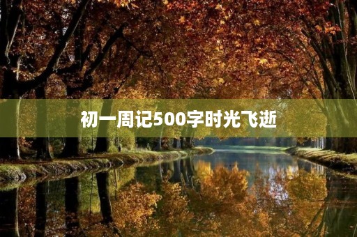初一周记500字时光飞逝