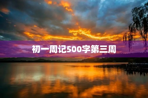 初一周记500字第三周