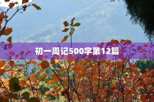 初一周记500字第12篇 初一周记500字第12篇