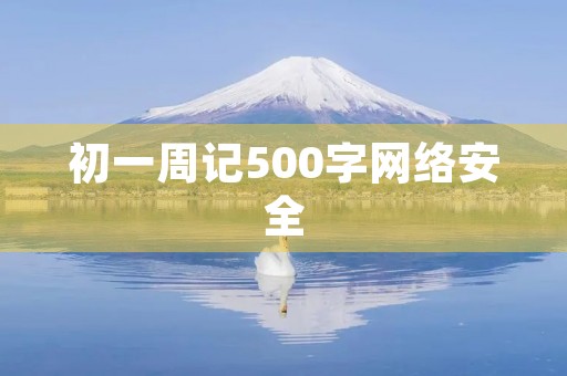 初一周记500字网络安全