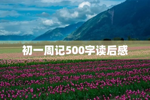 初一周记500字读后感