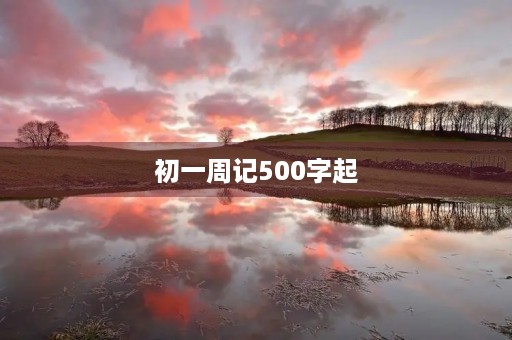 初一周记500字起