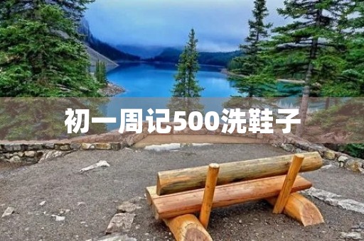 初一周记500洗鞋子