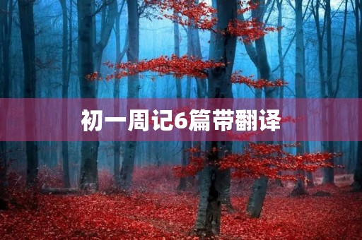 初一周记6篇带翻译