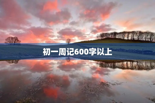 初一周记600字以上