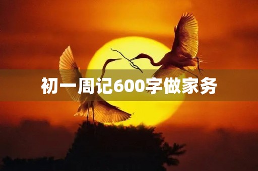 初一周记600字做家务