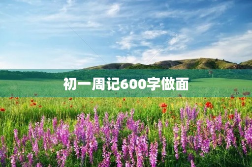 初一周记600字做面