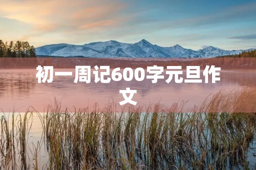 初一周记600字元旦作文