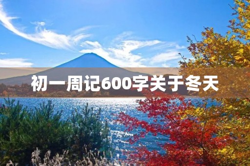 初一周记600字关于冬天