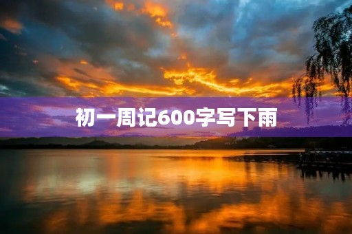 初一周记600字写下雨