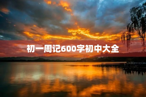 初一周记600字初中大全