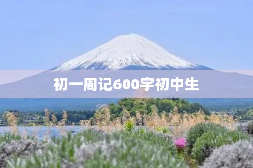初一周记600字初中生