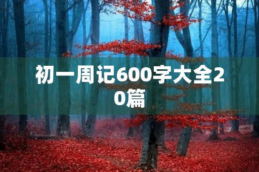 初一周记600字大全20篇