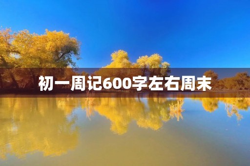 初一周记600字左右周末