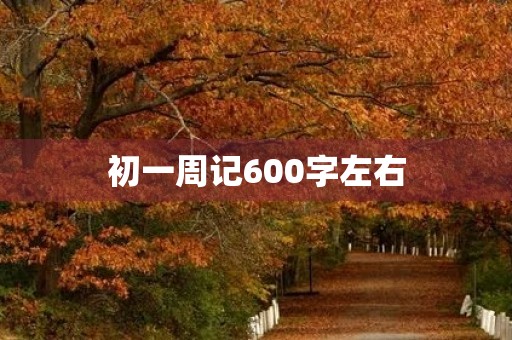 初一周记600字左右