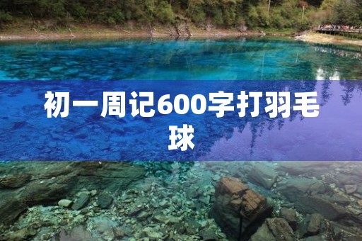 初一周记600字打羽毛球 初一周记600字打羽毛球