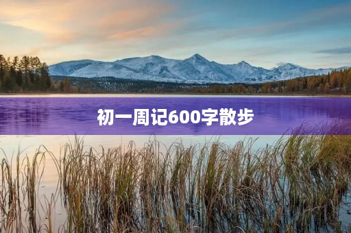 初一周记600字散步 初一周记600字散步