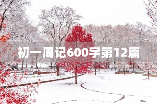初一周记600字第12篇