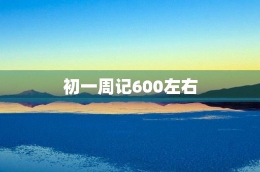 初一周记600左右