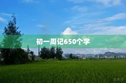 初一周记650个字 初一周记650个字