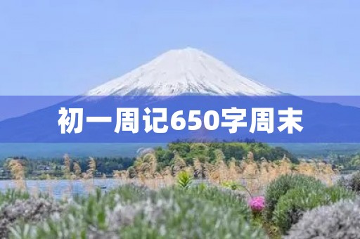 初一周记650字周末